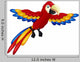 Funny Macaw Bird
