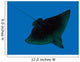 Spotted Eagle Ray Wall Mural