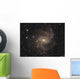 Fireworks Galaxy Ngc6946 Wall Decal