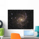 Fireworks Galaxy Ngc6946 Wall Decal