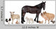 Group of Farm Animals Wall Decal