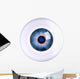 Eye Eyeball Wall Decal