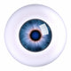Eye Eyeball Wall Decal