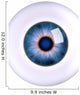 Eye Eyeball Wall Decal