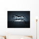 Water Running Horse over