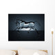 Water Running Horse over