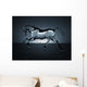 Water Running Horse over