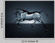 Water Running Horse over