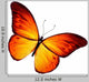 Orange Butterfly White Wall Decal