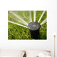 Rasensprenger Wall Decal