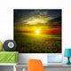 Green Meadow Sunset with
