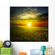 Green Meadow Sunset with