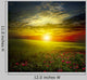 Green Meadow Sunset with
