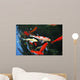 Koi Carps Swimming Pond