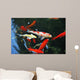 Koi Carps Swimming Pond