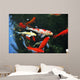 Koi Carps Swimming Pond