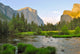 Yosemite Wall Mural