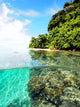Tropical Island Paradise above