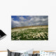 Wild Chamomile Wall Decal