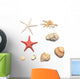 shells and starfishes Wall Decal