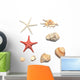 shells and starfishes Wall Decal