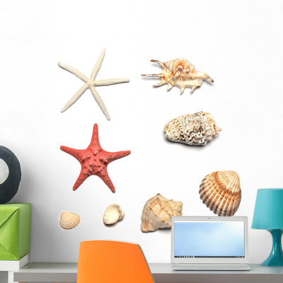 Shells and Starfishes Wall Stickers shown on a wall