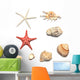 shells and starfishes Wall Decal