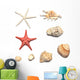 shells and starfishes Wall Decal