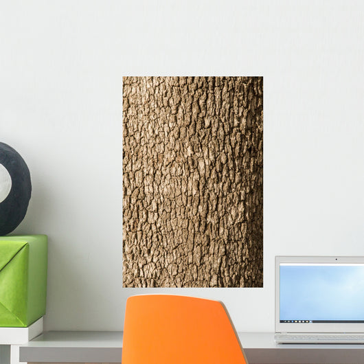 Corktree Texture