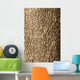 Corktree Texture