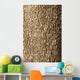Corktree Texture