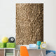 Corktree Texture