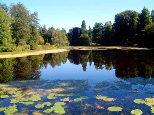 Weston Park near Stafford Wall Decal