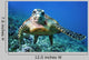 Tutle
