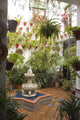 Andalusian Patio Wall Decal