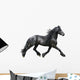 Friesian Horse on a White Background Wall Decal