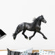 Friesian Horse on a White Background Wall Decal