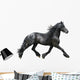 Friesian Horse on a White Background Wall Decal