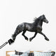Friesian Horse on a White Background Wall Decal