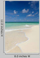 Tropical Beach Summer Sunny