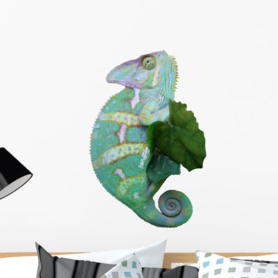 Chameleon Wall Mural shown on a wall