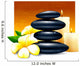 Spa vector illustration with zen stones and flowers. Wall Decal