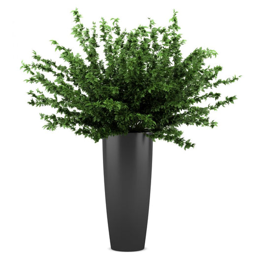 Decorative Plant Black Pot Wall Decal