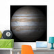 Jupiter Wall Mural