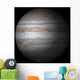 Jupiter Wall Mural