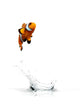 Jumping Clownfish Wall Decal