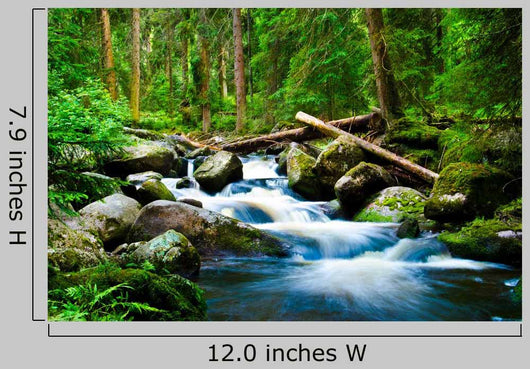 Deep Wood