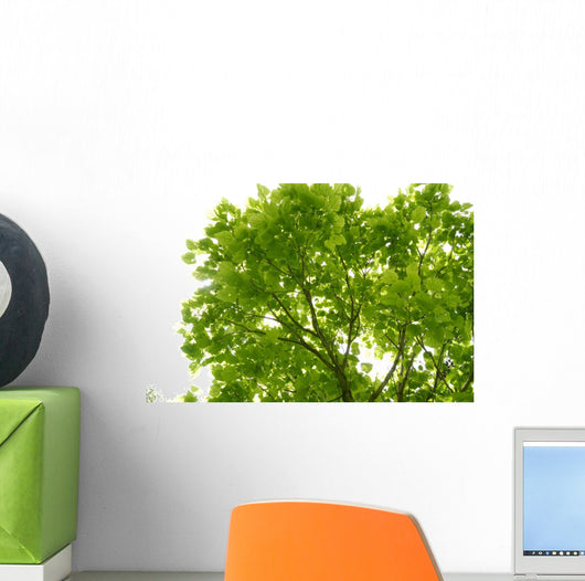 Tree Canopy Wall Mural
