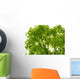 Tree Canopy Wall Mural