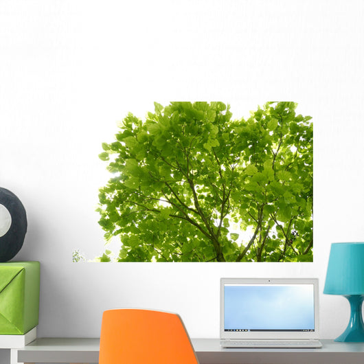 Tree Canopy Wall Mural